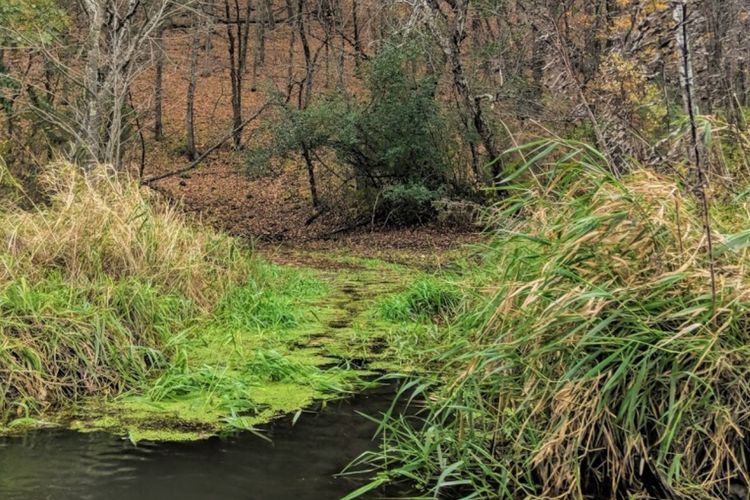 Lodi, WI Homes for Sale and Realtors